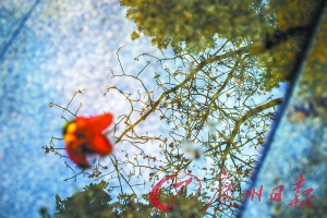 廣州墓園清明節(jié)祭祀活動需先過安檢關(guān)